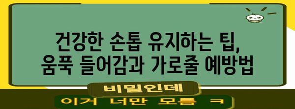 손톱 건강 필수 | 움푹 들어감과 가로줄 원인 및 대처법