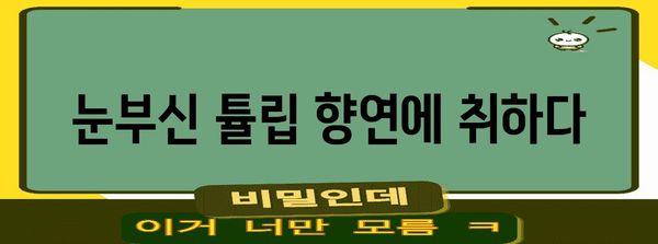 세천늪 테마공원 꽃놀이 가이드 | 튤립과 벚꽃