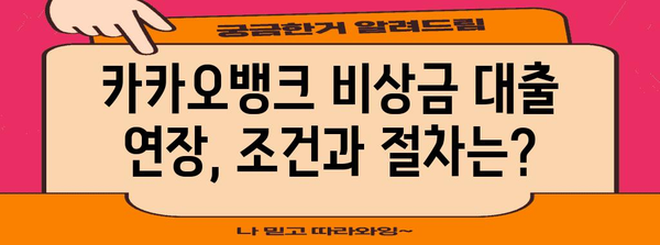 재무적 유연성 확대 | 카카오뱅크 비상금 대출 연장 가능성 탐구