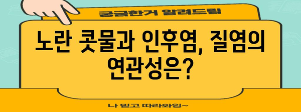 인후염 원인인 노란 콧물 질염의 치료 방법