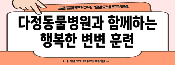 다정동물병원 강아지 변변 훈련 가이드 | 성공적인 훈련 팁