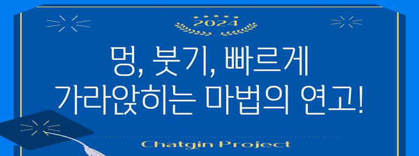 멍과 피멍 신속 제거 5가지 꿀팁 | 집에서 손쉽게 멍 없애기