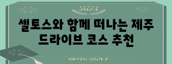 제주 셀토스 완전자차 드라이브 | 3박 4일 여행지와 꿀팁 총망라