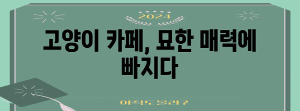 [고양이 카페 첫 방문기 | 털뿜뿜 매력에 홀려 빠지다]