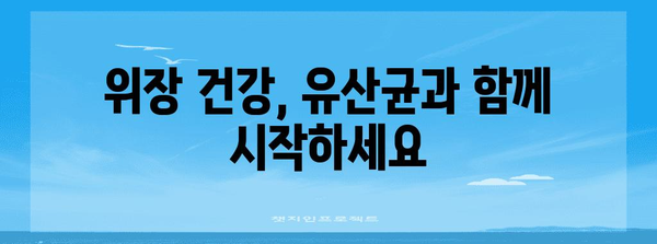 위장 건강 개선 가이드 | 소화 문제 종식