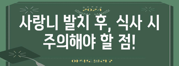 사랑니 발치 후 식사 가이드 | 치아 건강 관리 및 회복 팁