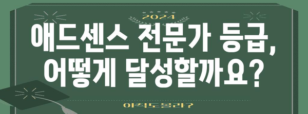 애드센스 수익화 전문가 등급 획득 비밀 공개