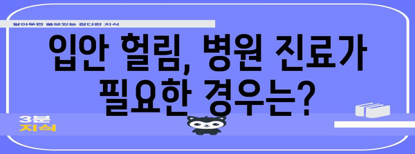 입안 헐림 증상 개선 방법 | 가정 요법과 대처법