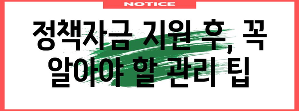 정부정책자금 함정 피하기 가이드 | 성공 전략과 실제 사례