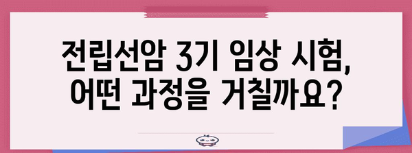 전립선암 3기 임상 시험 참여 가이드