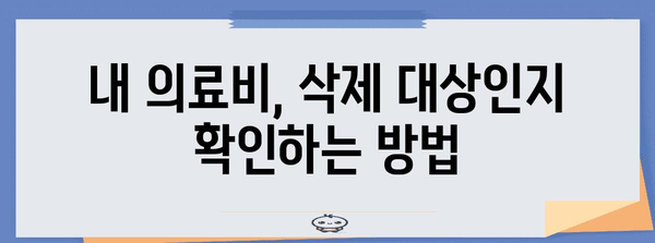 연말정산 의료비 삭제, 가능한 경우는? | 의료비 세액공제, 삭제 기준, 확인 방법