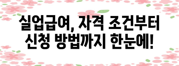 고용보험 이력 조회 및 실업급여 신청 완전 가이드