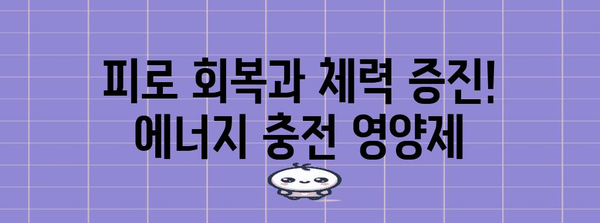 수능생을 위한 필수 영양제 총정리