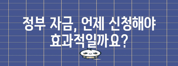 정부 자금 신청의 최적 시기 | 지혜롭게 결정하기