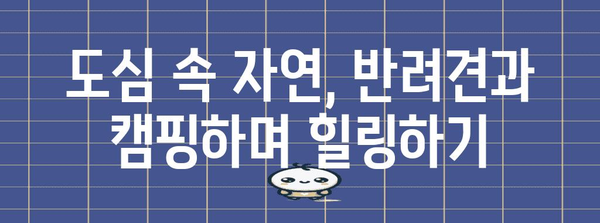 반려견과 도심 캠핑 | 일산에서 즐기는 야외 활동