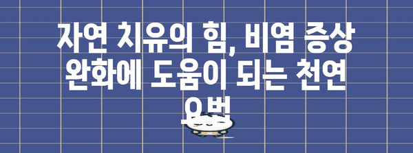 비염 대체 치료법 | 코막힘 근원적으로 해결하기