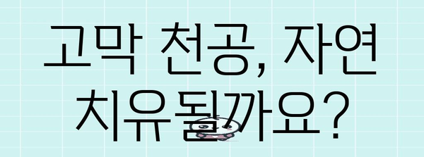 고막 천공 | 증상과 수술 방법 상세 가이드