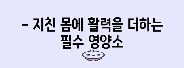 40대 남성 필수 영양제, 원기 회복의 비밀