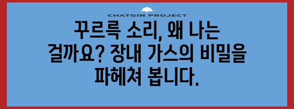 장내 가스 꾸르륵 소리의 원인 파악 | 건강 관리를 위한 팁