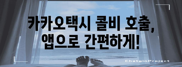 카카오택시 콜비 호출하기 | 가능 여부와 간편한 방법