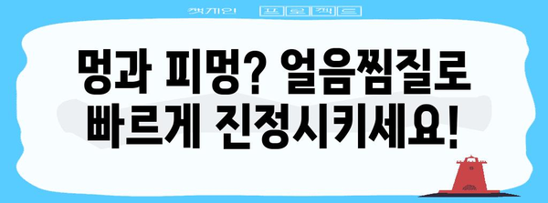 멍과 피멍 신속 제거 5가지 꿀팁 | 집에서 손쉽게 멍 없애기