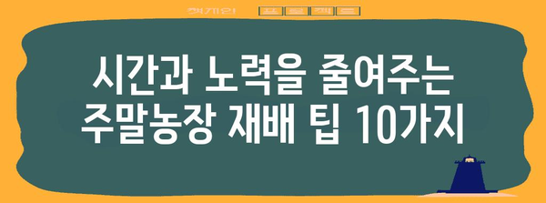 주말농장 채소 & 과일 재배 꿀팁 | 베테랑이 전하는 10가지