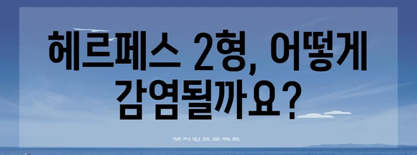 헤르페스 2형의 증상, 원인, 치료법 완벽 가이드 | 성병 진단 및 예방