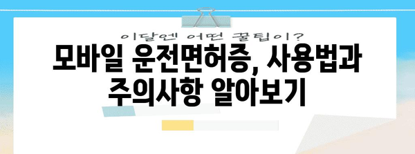 모바일 운전면허증