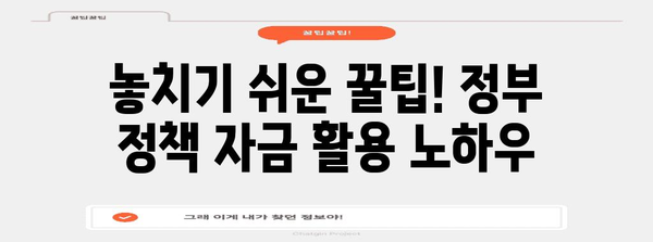 정부 정책 자금 신청하기, 적기 적절하게 활용하는 꿀팁