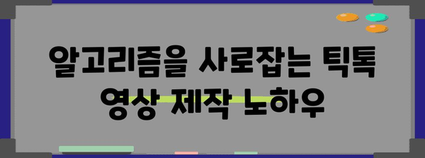 틱톡 팔로워 늘리기 성공기 | 가상 공간에서 성공하는 비법