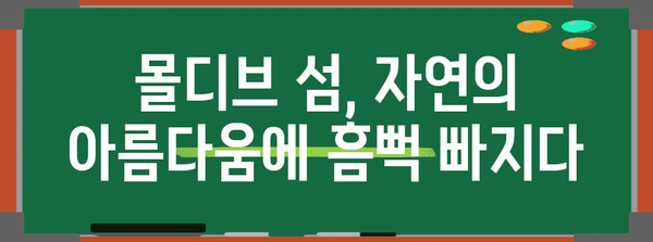 몰디브 자연환경의 매력| 푸른 바다, 하얀 백사장, 그리고 풍부한 생태계 | 몰디브 여행, 자연, 관광, 생태