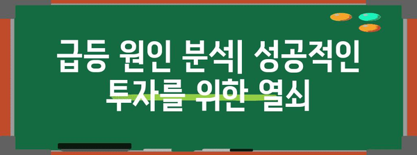 주식 급등주 분석 가이드 | 초보자를 위한 투자 노하우