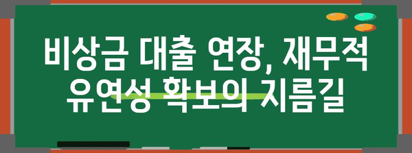 재무적 유연성 확대 | 카카오뱅크 비상금 대출 연장 가능성 탐구