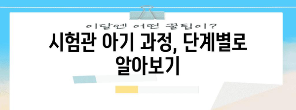 시험관 아기, 이해하기 쉽게 안내 드립니다