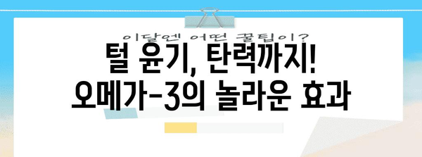 반려견 피부 건강 비결 | 강아지 오메가-3의 놀라운 효능