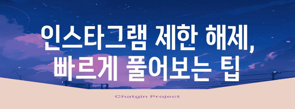 인스타그램 제한 풀기 가이드 | 계정 차단 시 해결책