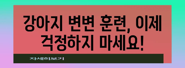 다정동물병원 강아지 변변 훈련 가이드 | 성공적인 훈련 팁