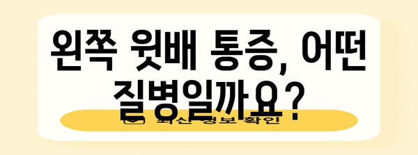 무시하면 위험! 왼쪽 윗배 통증의 원인과 해결책