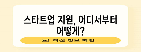 창업 스타트업 | 맞춤형 지원과 성공 비결