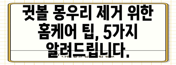쉽게 제거하는 귓볼 몽우리 가이드 | 알기 쉬운 방법과 팁