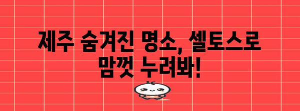 제주 셀토스 완전자차 드라이브 | 3박 4일 여행지와 꿀팁 총망라