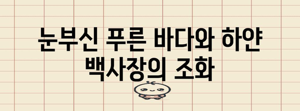 몰디브 자연환경의 매력| 푸른 바다, 하얀 백사장, 그리고 풍부한 생태계 | 몰디브 여행, 자연, 관광, 생태