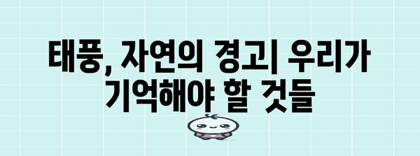 태풍