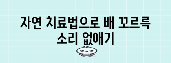 배에서 꾸르륵 소리 종식 대책 | 10가지 자연 치료법