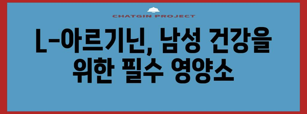 남성 건강 필수, L-아르기닌의 놀라운 효능