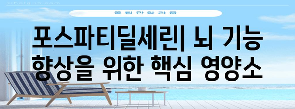 포스파티딜세린 | 뇌건강 필수 영양소의 포괄적 안내서