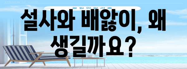 설사와 배앓이의 원인 파헤치기 | 해결책과 예방법