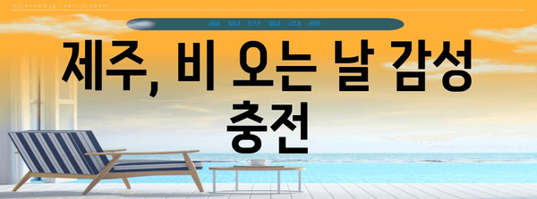 비오는 날 제주 | 예술과 힐링의 완벽 조화