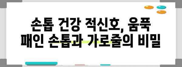 손톱 건강 필수 | 움푹 들어감과 가로줄 원인 및 대처법