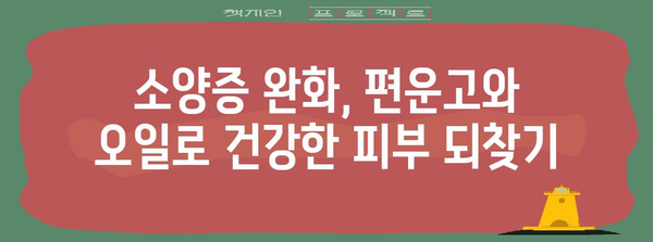 소양증 완화 팁 | 편운고와 오일 가이드